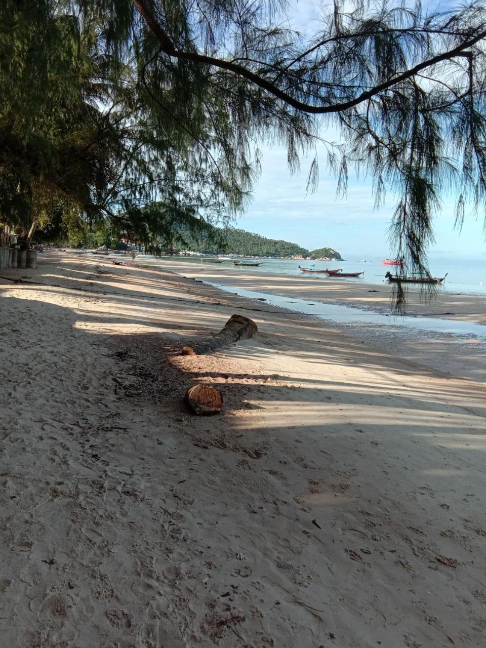 Prik Thai Resort Ko Tao Zewnętrze zdjęcie